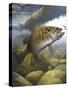 Smallmouth Bass-Larry Tople-Stretched Canvas