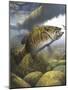 Smallmouth Bass-Larry Tople-Mounted Giclee Print