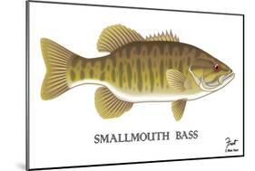 Smallmouth Bass-Mark Frost-Mounted Giclee Print