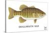 Smallmouth Bass-Mark Frost-Stretched Canvas