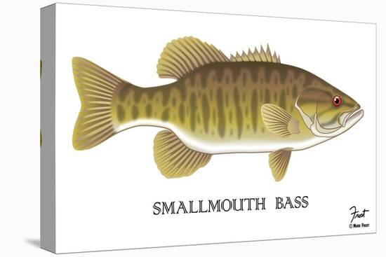 Smallmouth Bass-Mark Frost-Stretched Canvas
