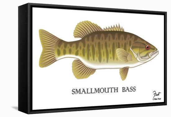 Smallmouth Bass-Mark Frost-Framed Stretched Canvas