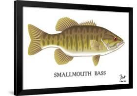 Smallmouth Bass-Mark Frost-Framed Giclee Print