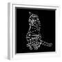 Smart Cat Polygon-Lisa Kroll-Framed Art Print