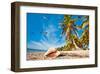 Smathers Beach in Key West, Florida Keys, Florida, USA-null-Framed Art Print