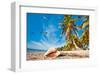 Smathers Beach in Key West, Florida Keys, Florida, USA-null-Framed Art Print