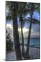 Smathers Beach Sunrise Vertical 2-Robert Goldwitz-Mounted Giclee Print