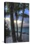 Smathers Beach Sunrise Vertical 2-Robert Goldwitz-Stretched Canvas