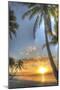 Smathers Beach Sunrise Vertical 3-Robert Goldwitz-Mounted Giclee Print