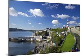 Smeaton's Tower on The Hoe overlooks The Sound, Plymouth, Devon, England, United Kingdom, Europe-Rob Cousins-Mounted Photographic Print