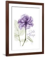 Smile Always Rose-Albert Koetsier-Framed Art Print