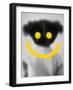 Smile II-Gabriella Roberg-Framed Photographic Print