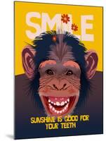 Smile III-Ken Hurd-Mounted Giclee Print