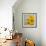 Smile: Sunflower Bouquet-Nicole Katano-Framed Photo displayed on a wall