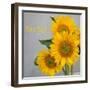 Smile: Sunflower Bouquet-Nicole Katano-Framed Photo