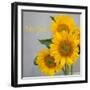 Smile: Sunflower Bouquet-Nicole Katano-Framed Photo