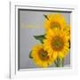 Smile: Sunflower Bouquet-Nicole Katano-Framed Photo