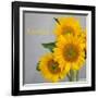 Smile: Sunflower Bouquet-Nicole Katano-Framed Photo