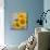 Smile: Sunflower Bouquet-Nicole Katano-Mounted Photo displayed on a wall