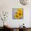 Smile: Sunflower Bouquet-Nicole Katano-Mounted Photo displayed on a wall