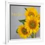 Smile: Sunflower Bouquet-Nicole Katano-Framed Photo