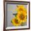 Smile: Sunflower Bouquet-Nicole Katano-Framed Photo