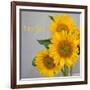 Smile: Sunflower Bouquet-Nicole Katano-Framed Photo