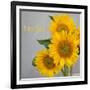 Smile: Sunflower Bouquet-Nicole Katano-Framed Photo