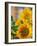 Smile: Sunny Sunflower-Nicole Katano-Framed Photo