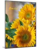 Smile: Sunny Sunflower-Nicole Katano-Mounted Photo