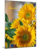 Smile: Sunny Sunflower-Nicole Katano-Mounted Photo