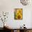 Smile: Sunny Sunflower-Nicole Katano-Mounted Photo displayed on a wall