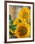 Smile: Sunny Sunflower-Nicole Katano-Framed Photo