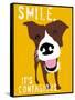 Smile-Ginger Oliphant-Framed Stretched Canvas