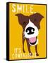 Smile-Ginger Oliphant-Framed Stretched Canvas