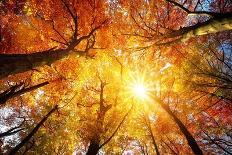 Scenic Autumnal View-Smileus-Photographic Print