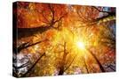 Stretched Canvas