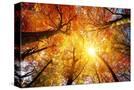 Stretched Canvas