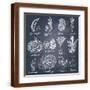 Brown Frame