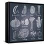 Canvas Black