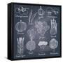 Canvas Black