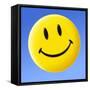 Smiley Face Symbol-Detlev Van Ravenswaay-Framed Stretched Canvas