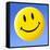 Smiley Face Symbol-Detlev Van Ravenswaay-Framed Stretched Canvas