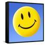 Smiley Face Symbol-Detlev Van Ravenswaay-Framed Stretched Canvas