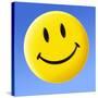 Smiley Face Symbol-Detlev Van Ravenswaay-Stretched Canvas