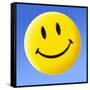 Smiley Face Symbol-Detlev Van Ravenswaay-Framed Stretched Canvas