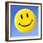 Smiley Face Symbol-Detlev Van Ravenswaay-Framed Premium Photographic Print