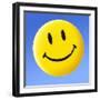 Smiley Face Symbol-Detlev Van Ravenswaay-Framed Premium Photographic Print