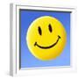 Smiley Face Symbol-Detlev Van Ravenswaay-Framed Premium Photographic Print