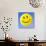 Smiley Face Symbol-Detlev Van Ravenswaay-Photographic Print displayed on a wall